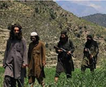 Hundreds of Daesh Rebels  Emerge in Kunar: Police Chief